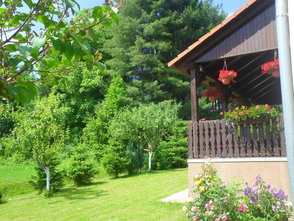 House Petra Daire Rakovica Dış mekan fotoğraf